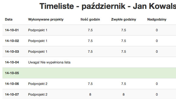 4Timeliste - Raporty miesięczne